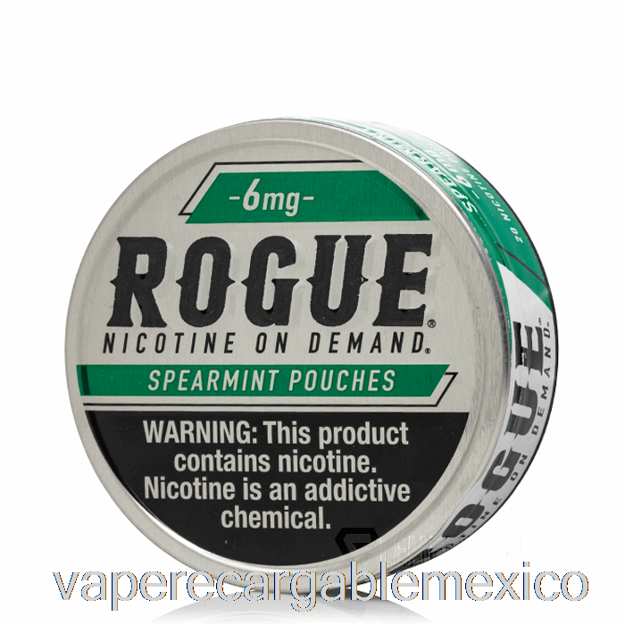 Vape Recargables Bolsas De Nicotina Rogue - Menta Verde 6 Mg